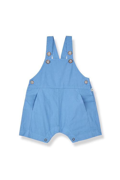  1+ in the family | GALFIULTRAMARINE